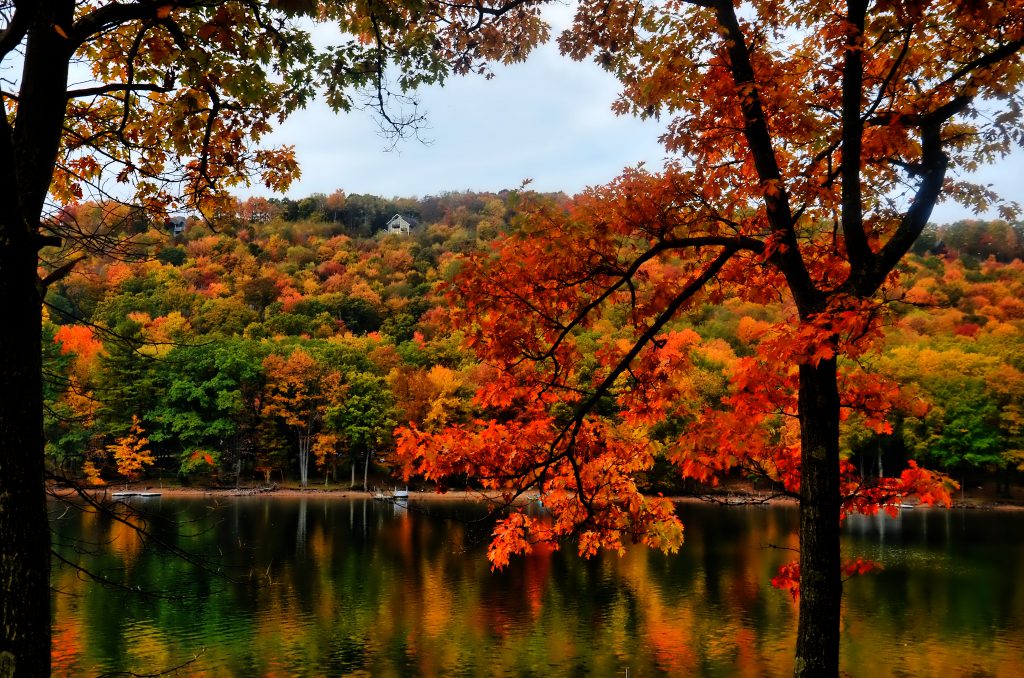 October Fall Foliage Gallery Deep Creek Lake Deep Creek Lake Blog 4815