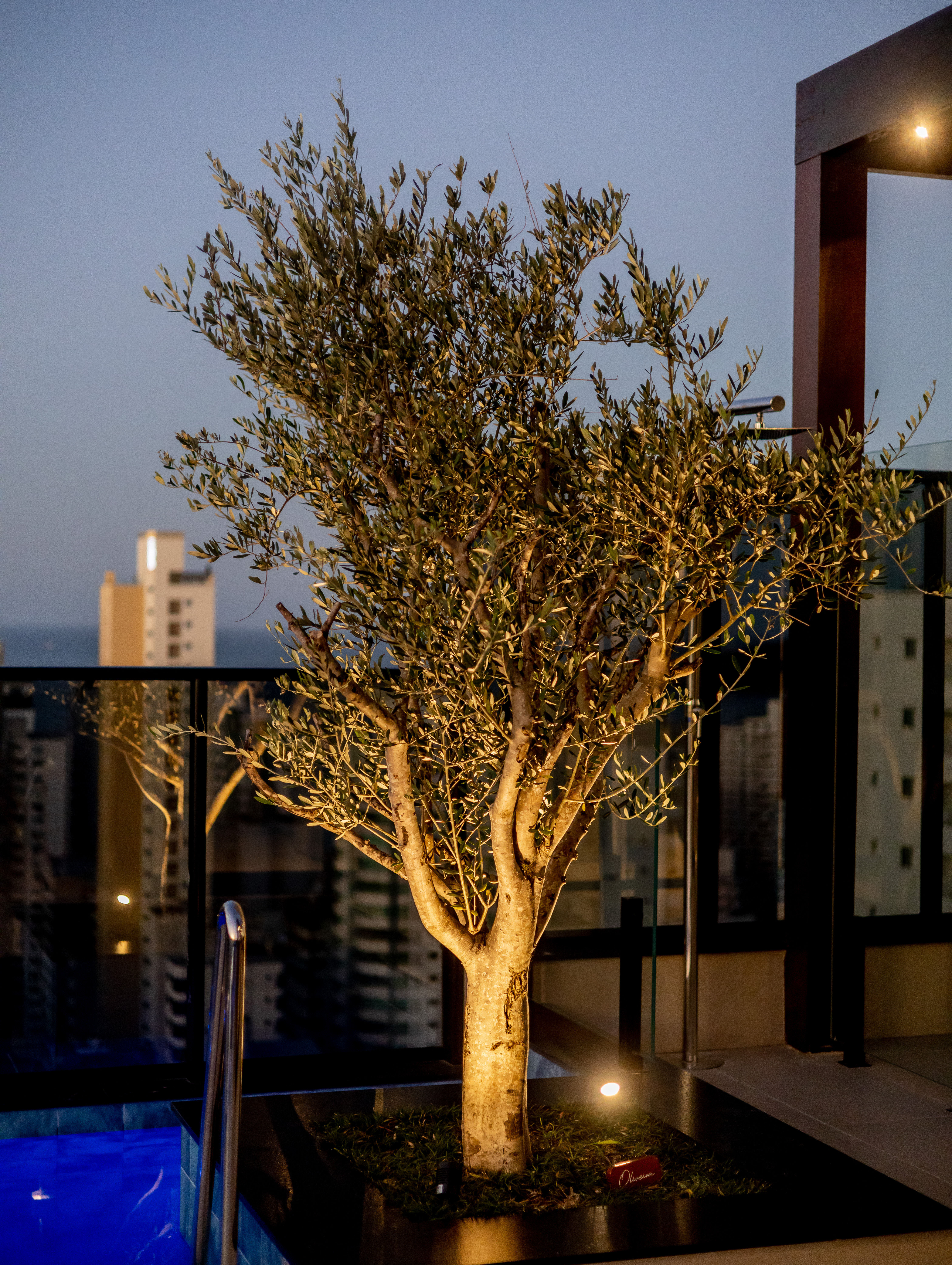 Rooftop — foto 31