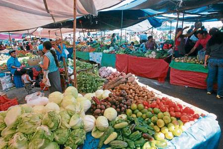 Costa Rica afirma que reactivación económica vendrá del campo