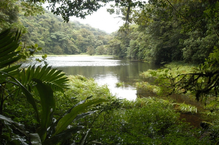 Costa Rica llama a acciones para revertir pérdida de biodiversidad