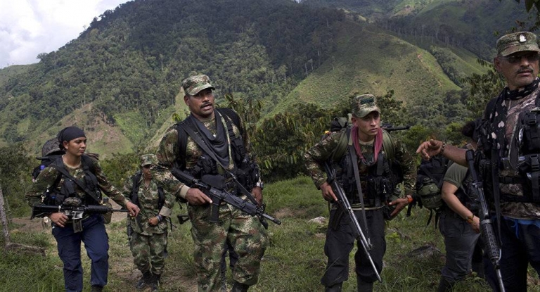 Gobierno colombiano autoriza de nuevo a FARC visitar sus campamentos para hablar de paz