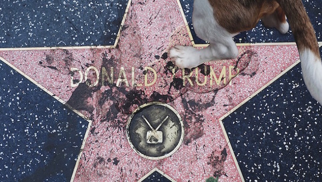 El concejo municipal de Hollywood pide retirar la estrella de Trump del Paseo de la Fama