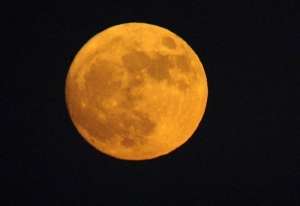 La superluna del 14 de noviembre de 2016. Sputnik
