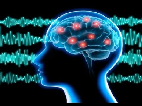 Estallidos de actividad cerebral, vinculados a la reactivación de la memoria