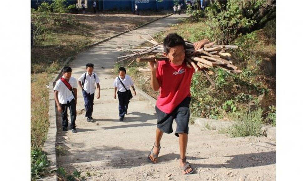 Aumenta a 160 millones el número de niños atrapados en el trabajo infantil  y la pandemia agrava la situación | Diario Digital Nuestro País