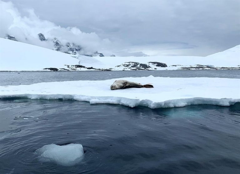 Científicas afrontan un Drake aún más turbulento en su regreso de Antártida