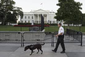 Detienen a una mujer por mover una valla de seguridad en la Casa Blanca