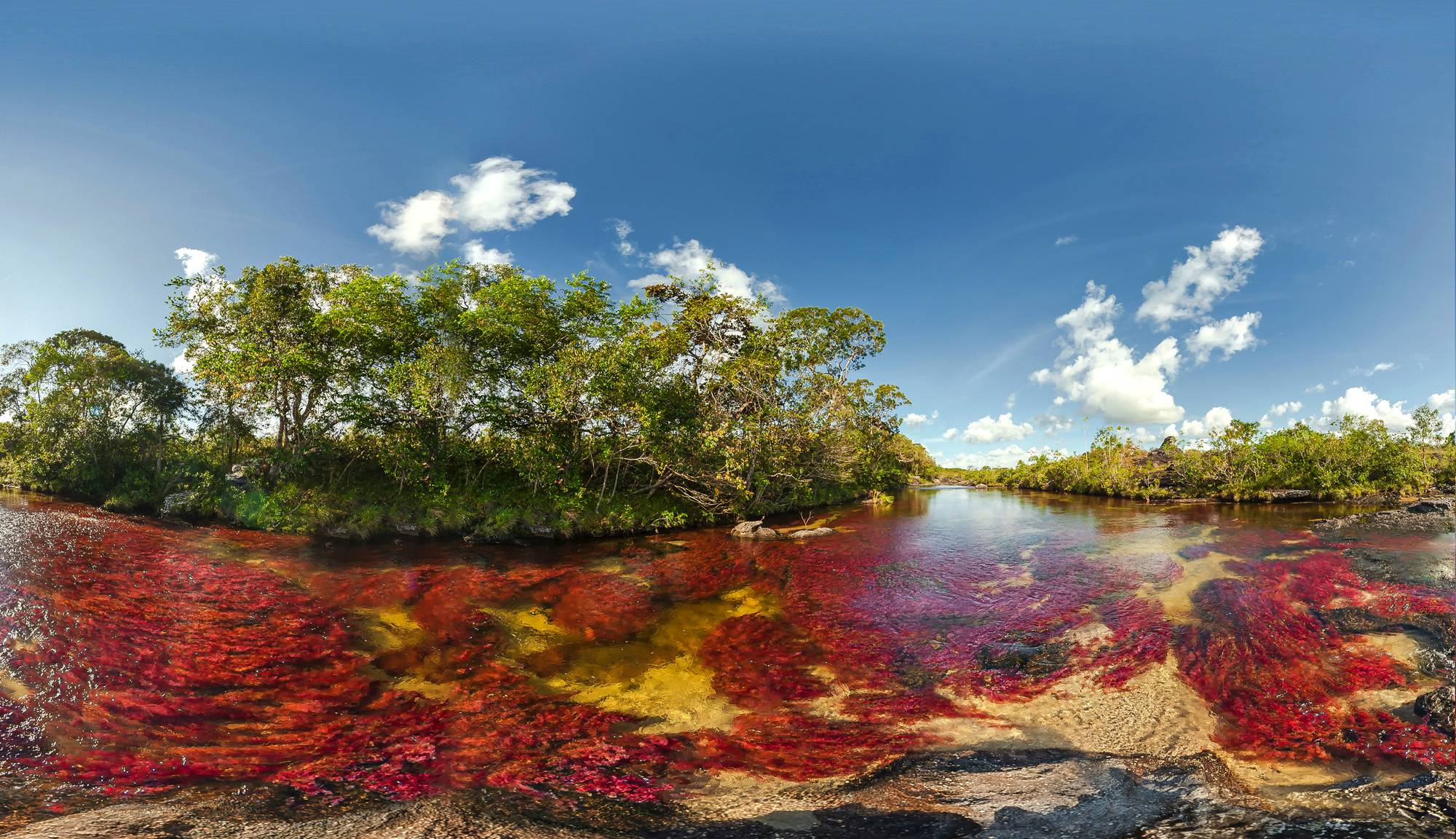 Почему все созданное природой можно считать шедевром. Река Каньо Кристалес. Каньо-Кристалес Колумбия. Разноцветная река Каньо-Кристалес (Колумбия). Цветная река Caño cristales.