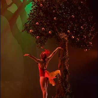 Teatro Nacional vuelve a ser escenario para "El Pájaro de ...