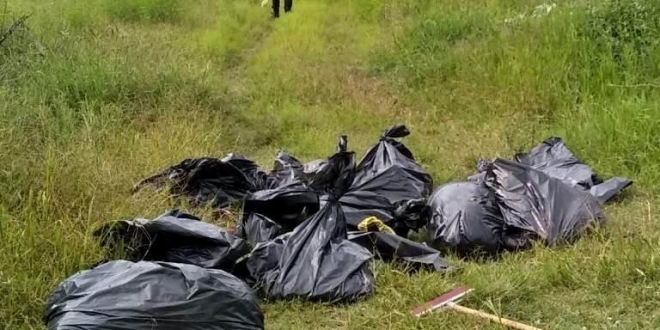 Hallan 17 bolsas con restos humanos en el oeste de México – Diario Digital  Nuestro País