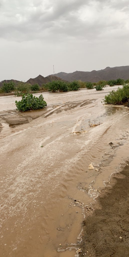 Mueren siete personas a causa de las lluvias torrenciales e