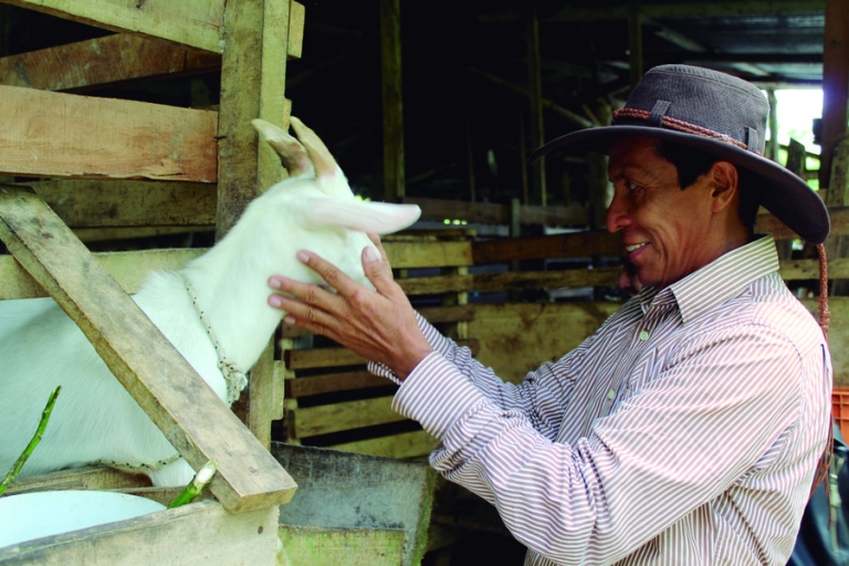 Productores de Upala reciben capacitación virtual