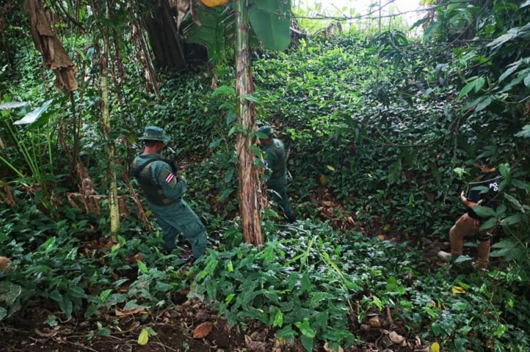 Costa Rica y Panamá avanzan en labores de campo sobre límites