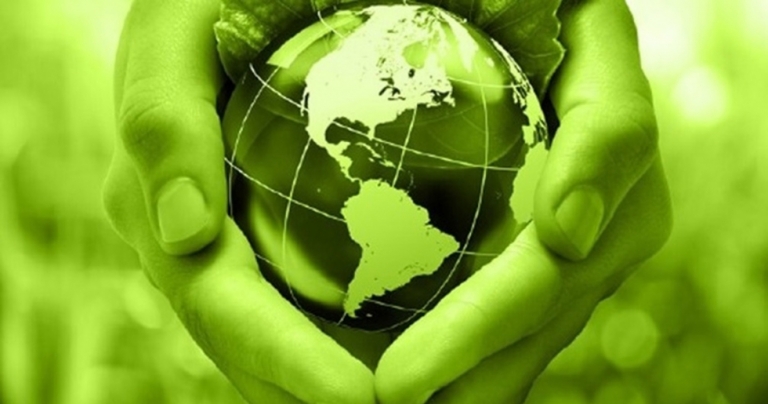 Desarrollo de la bioeconomía: Clústeres con sello verde en la sociedad del post-covid19