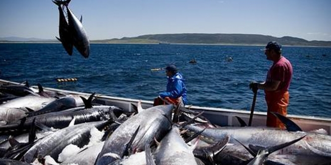 OCDE y la Política Ambiental y Pesca