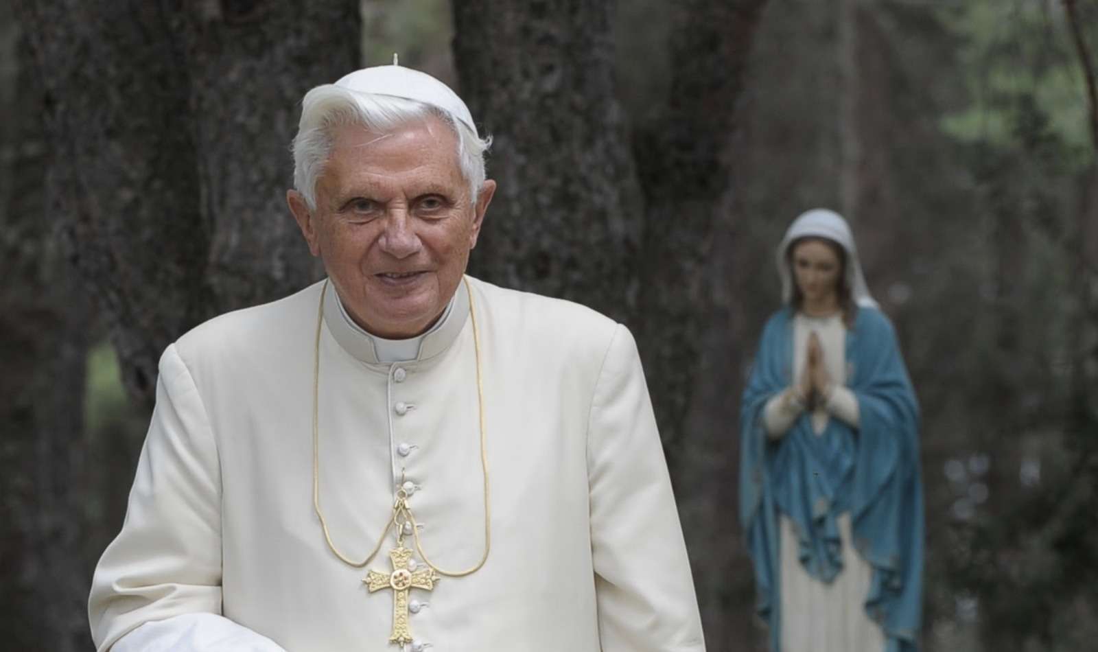 Obispos alemanes instan a Benedicto XVI a pedir perdón | Diario Digital  Nuestro País