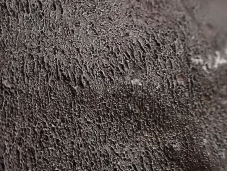 El meteorito de Aguas Zarcas seduce a los investigadores por su alto valor científico