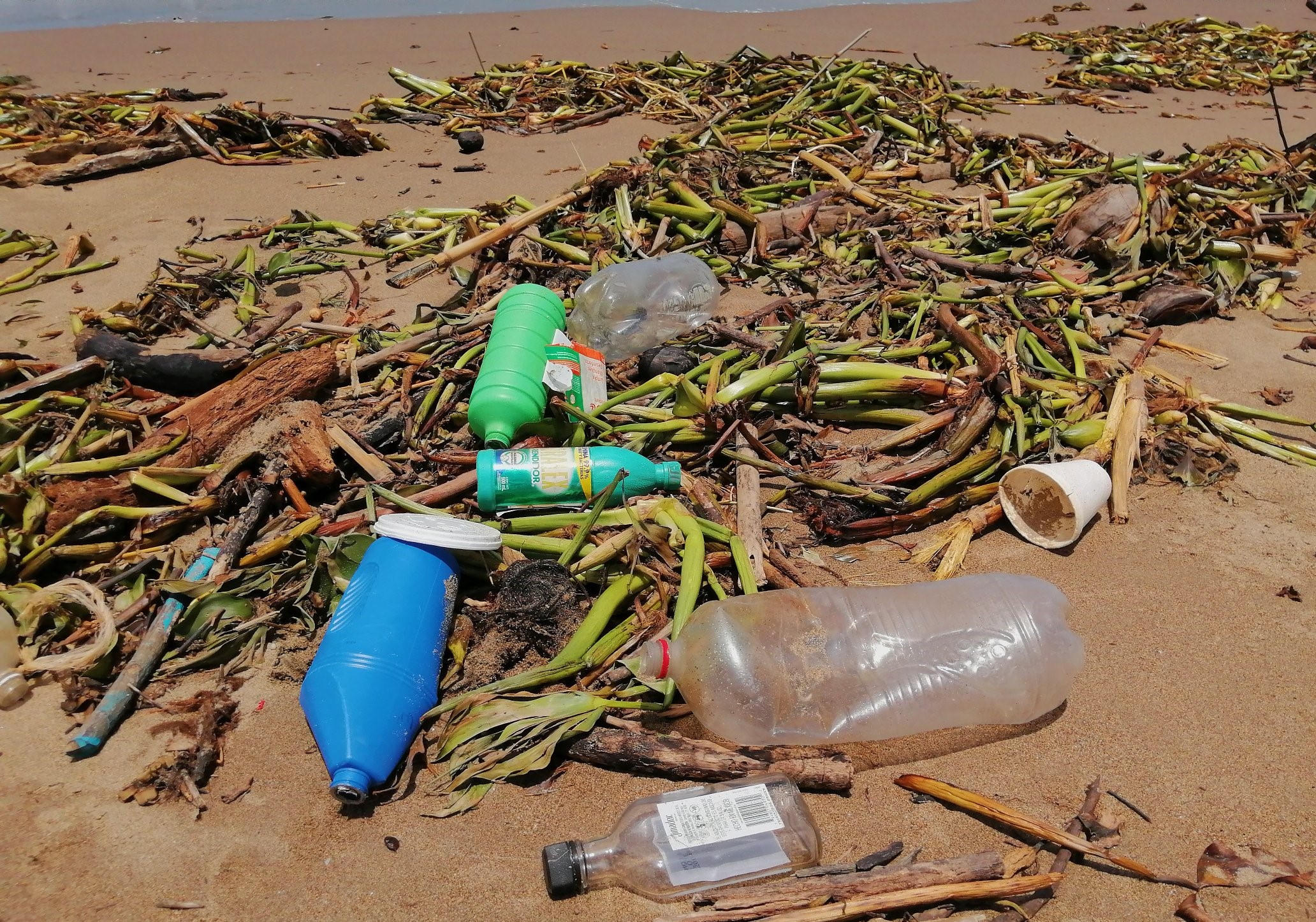 México encara una lucha crucial contra los plásticos en sus mares | Diario  Digital Nuestro País