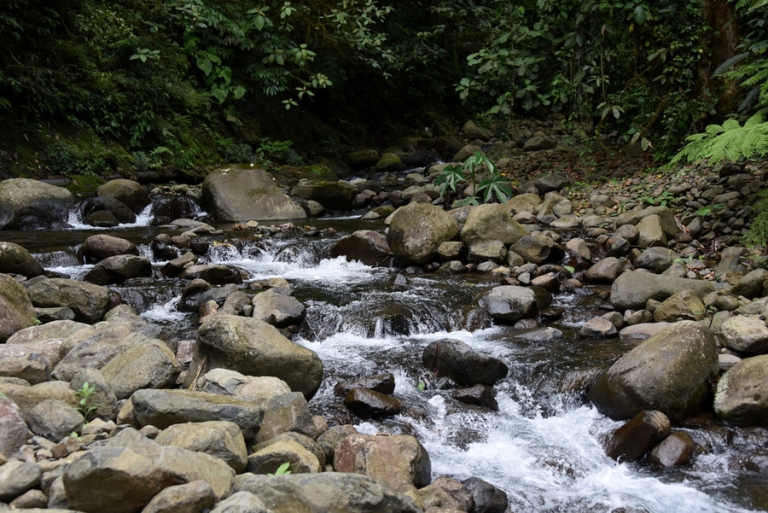 Científicos prevén el futuro del agua en Costa Rica y su aporte a la meta de descarbonización