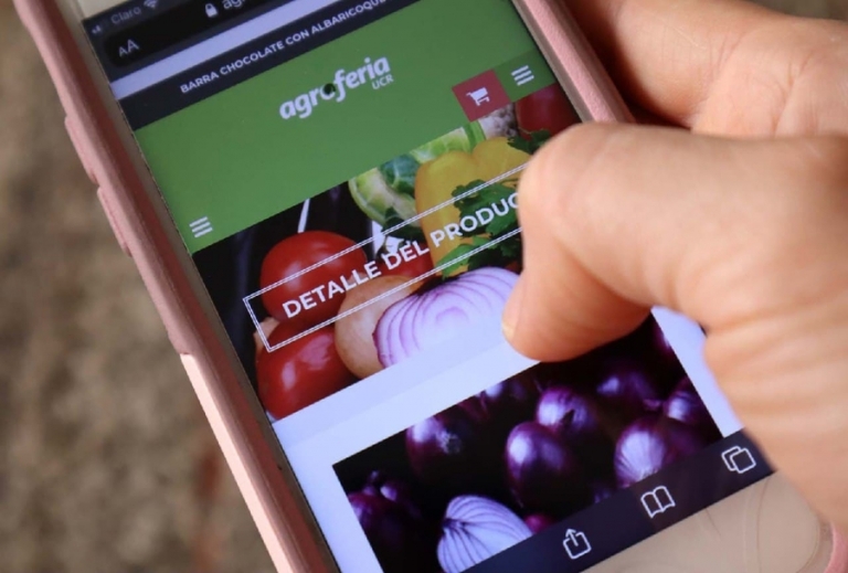 Encuesta: Investigan la influencia del comercio electrónico en las tendencias del consumo de alimentos