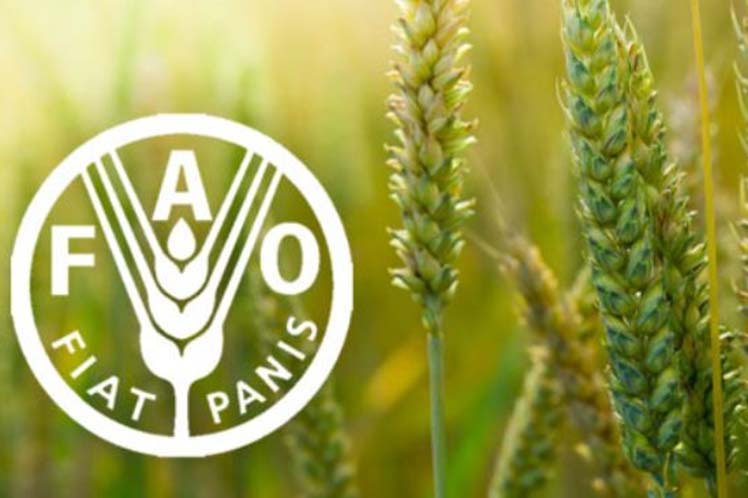Llama la FAO a transformar sistemas agroalimentarios – Diario Digital  Nuestro País