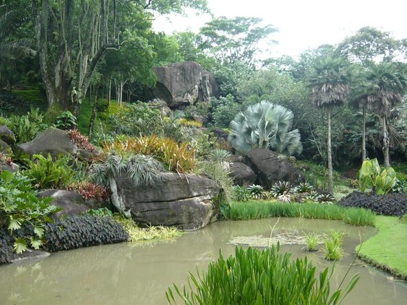 La cuna del jardín tropical: así es el nuevo Patrimonio de la Humanidad de Río de Janeiro