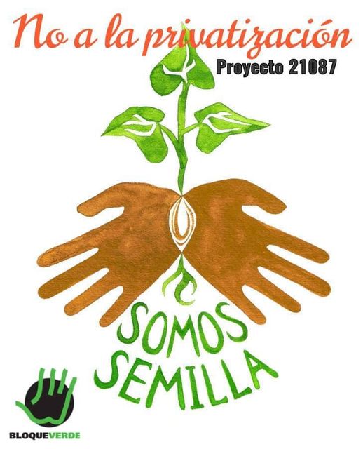 Ecologistas rechazan nuevo intento de ley que pretende privatizar semilla criolla