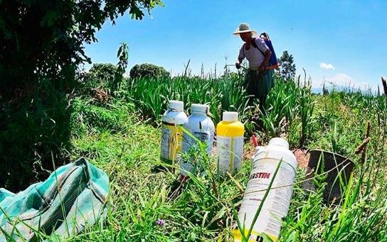 Malas noticias para el sector agropecuario, consumidores y para quienes siguen tomando agua con residuos de plaguicidas
