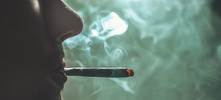 El informe de drogas de la ONU arroja luz sobre las tendencias del cannabis, la cocaína y la metanfetamina