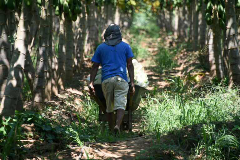 Costa Rica propuso en COP27 exportar bienes agropecuarios sostenibles