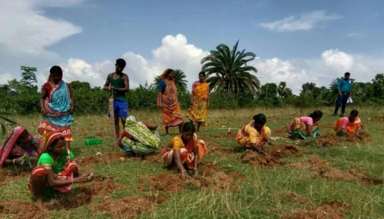 Un pueblo de India descubre el tesoro de la agricultura ecológica y autóctona