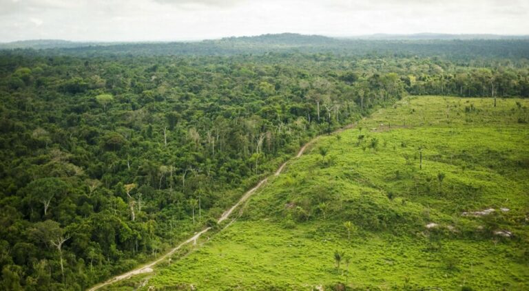 La deforestación lleva la Amazonia a un punto de no retorno