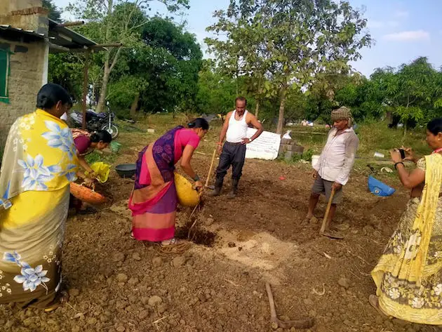 El policultivo rescata a campesinos de embates climáticos en un pueblo en India