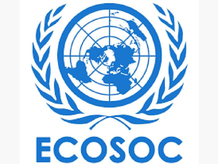 Costa Rica participa en sesiones de Ecosoc