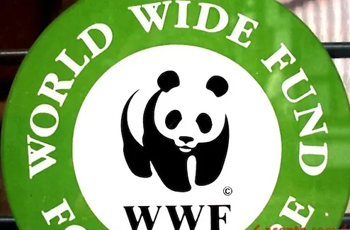 WWF Declarado Indeseable En Rusia Por Amenazar La Seguridad Económica ...