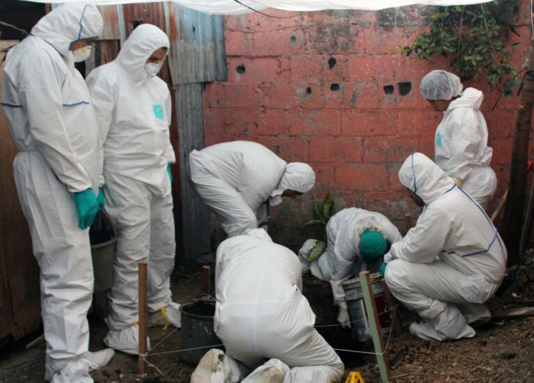 Costa Rica debe atender la violencia social desde una propuesta integral