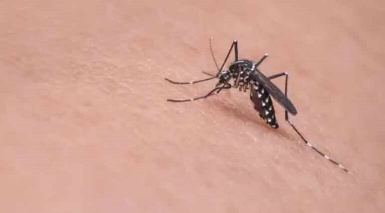 Situación complicada con el dengue en Costa Rica