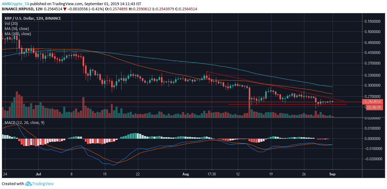 Source: Trading view 