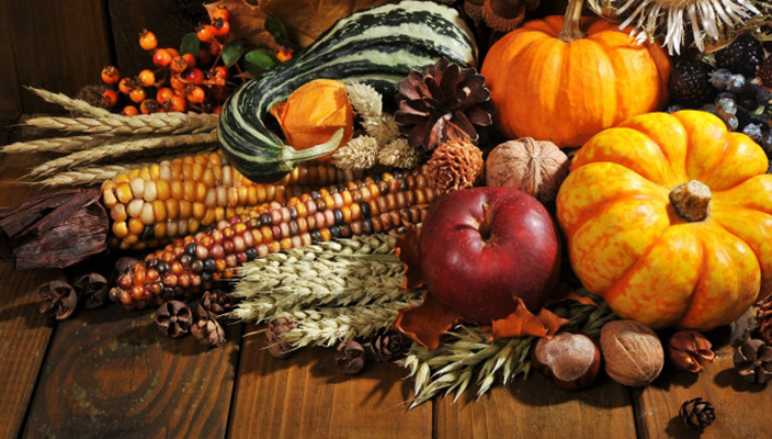 Thanksgiving Day