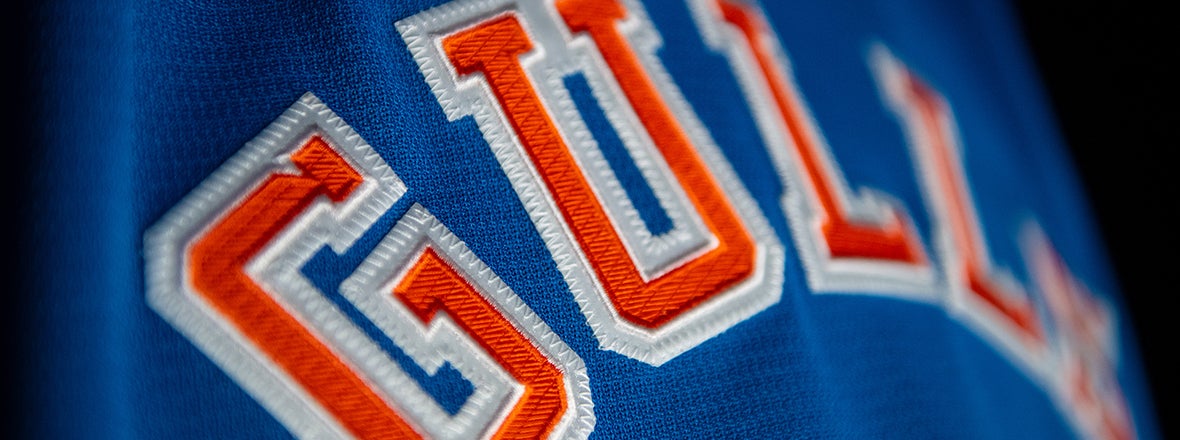 San Diego Gulls vs. Calgary Wranglers