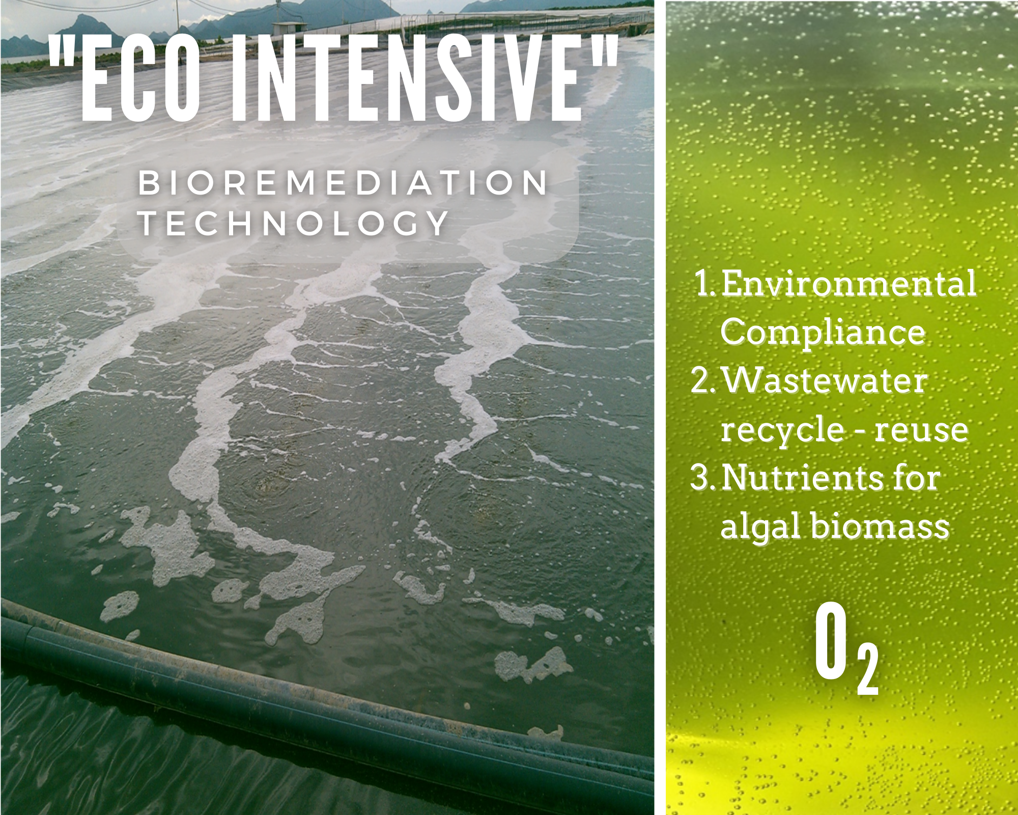 Objetivo de Ficotecmex