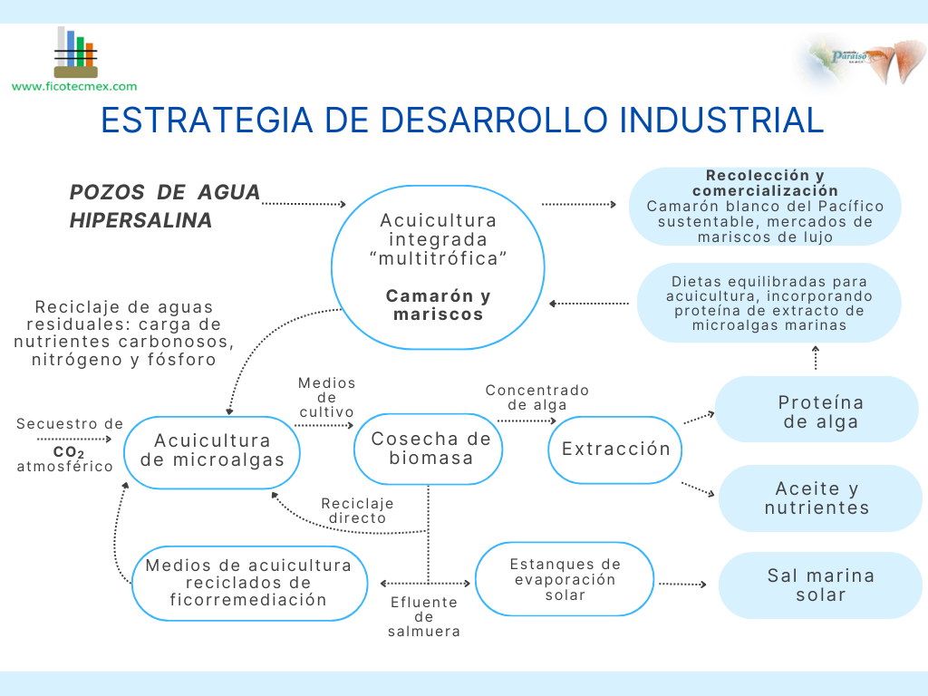 Estrategia de Desarrollo Industrial