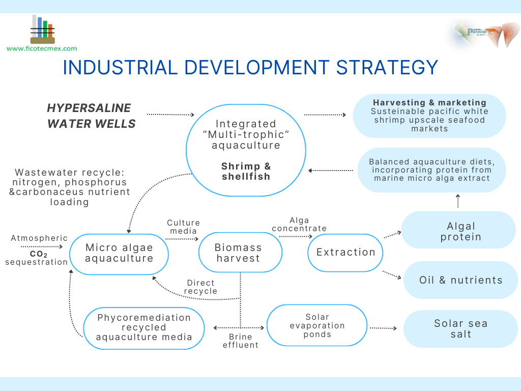 Industrial Development Strategy