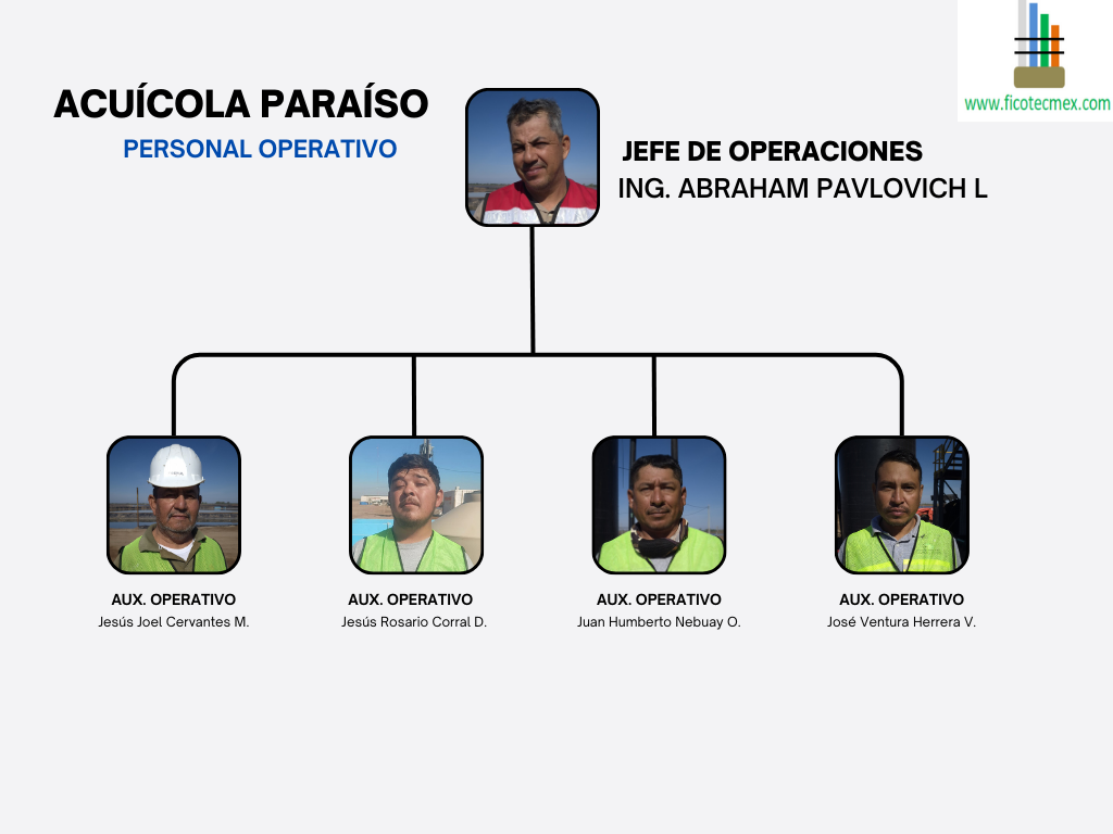 Diagrama Personal Operativo