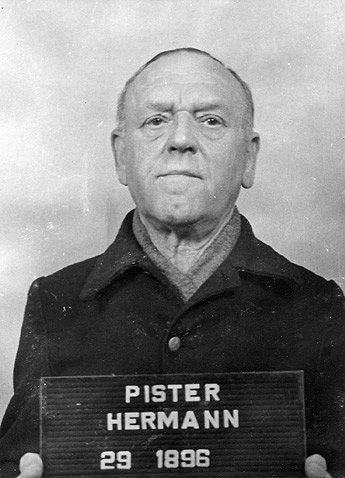 Image of Hermann F. J. Pister