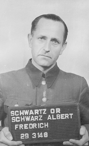 Image of Albert F. J. R. Schwartz