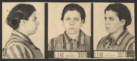 Scanned document page 12