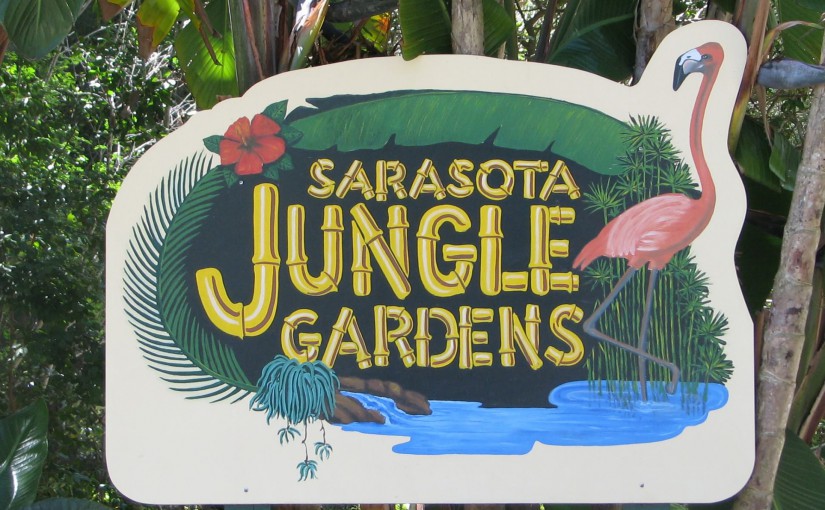 Sarasota Jungle Gardens