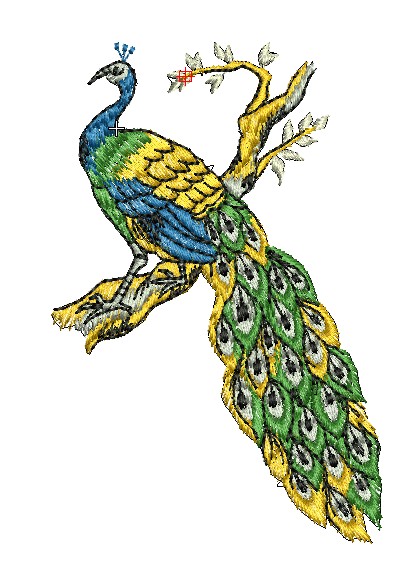 Embroidery design peacock