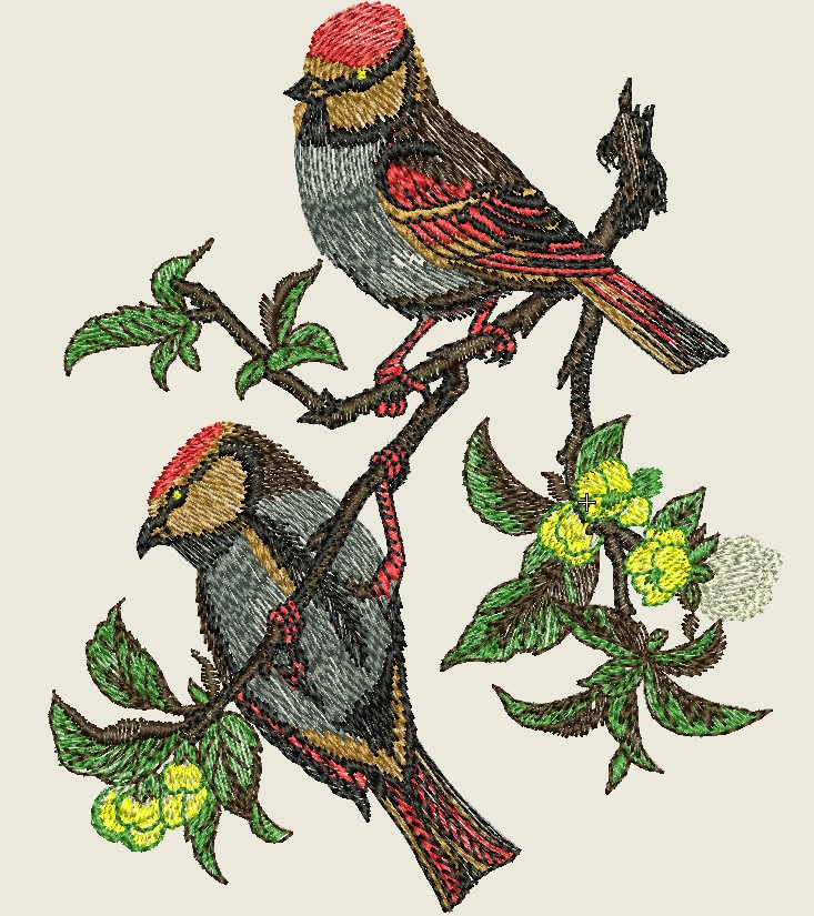 Birds Machine Embroidery Designs | Embroidery